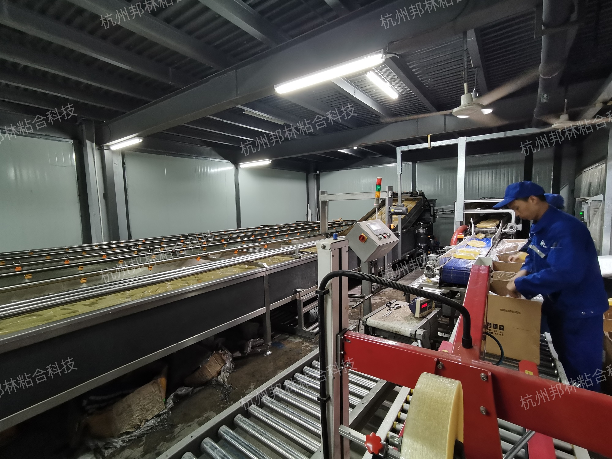 凯时娱乐人生就是博热熔胶