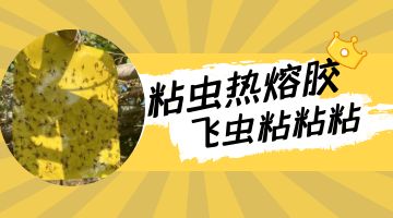 凯时娱乐人生就是博!(中国)官方网站